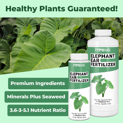 Elephant Ear Fertilizer