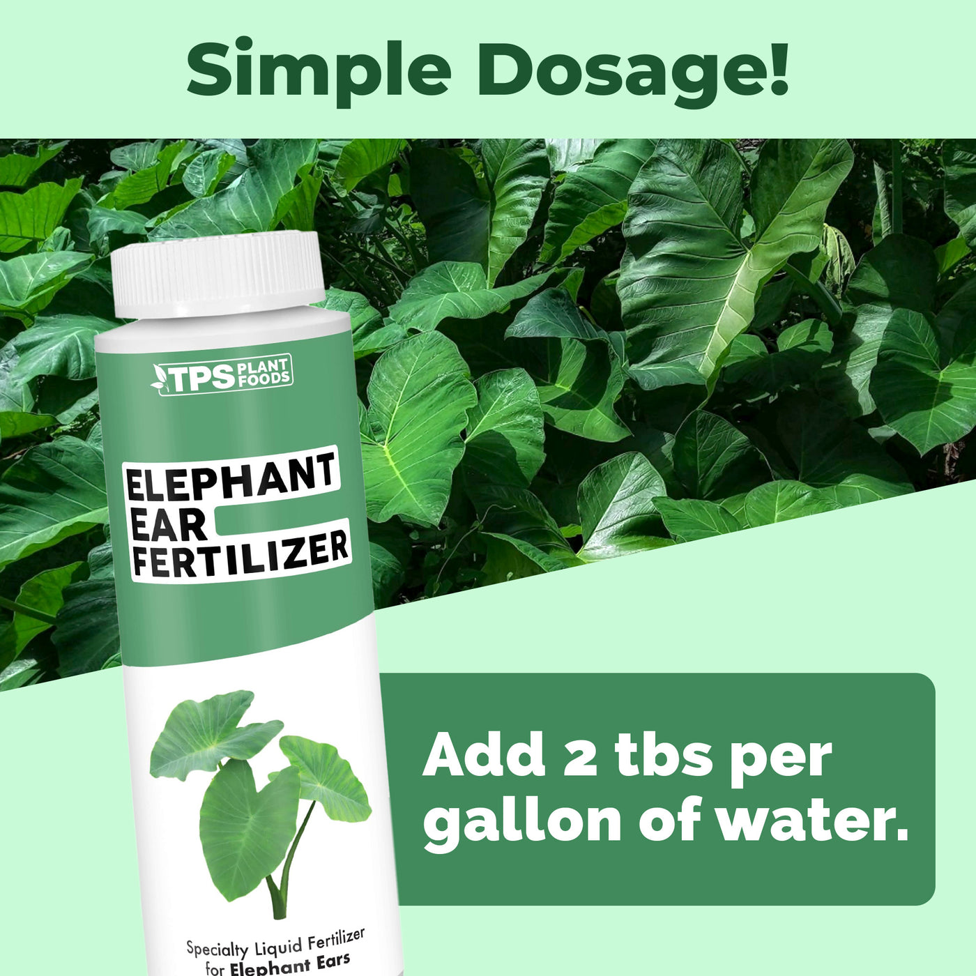 Elephant Ear Fertilizer