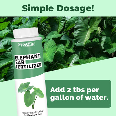 Elephant Ear Fertilizer