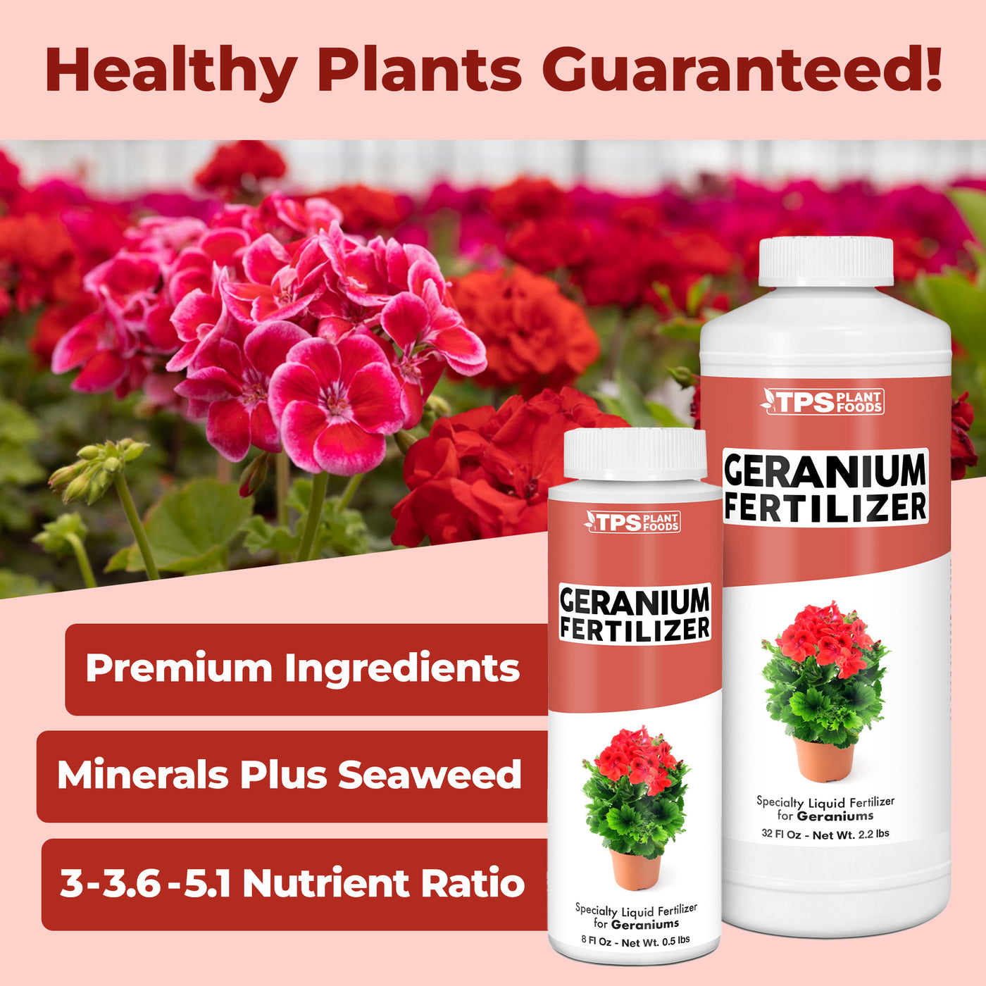 Geranium Fertilizer