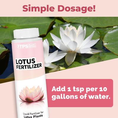 Lotus Fertilizer