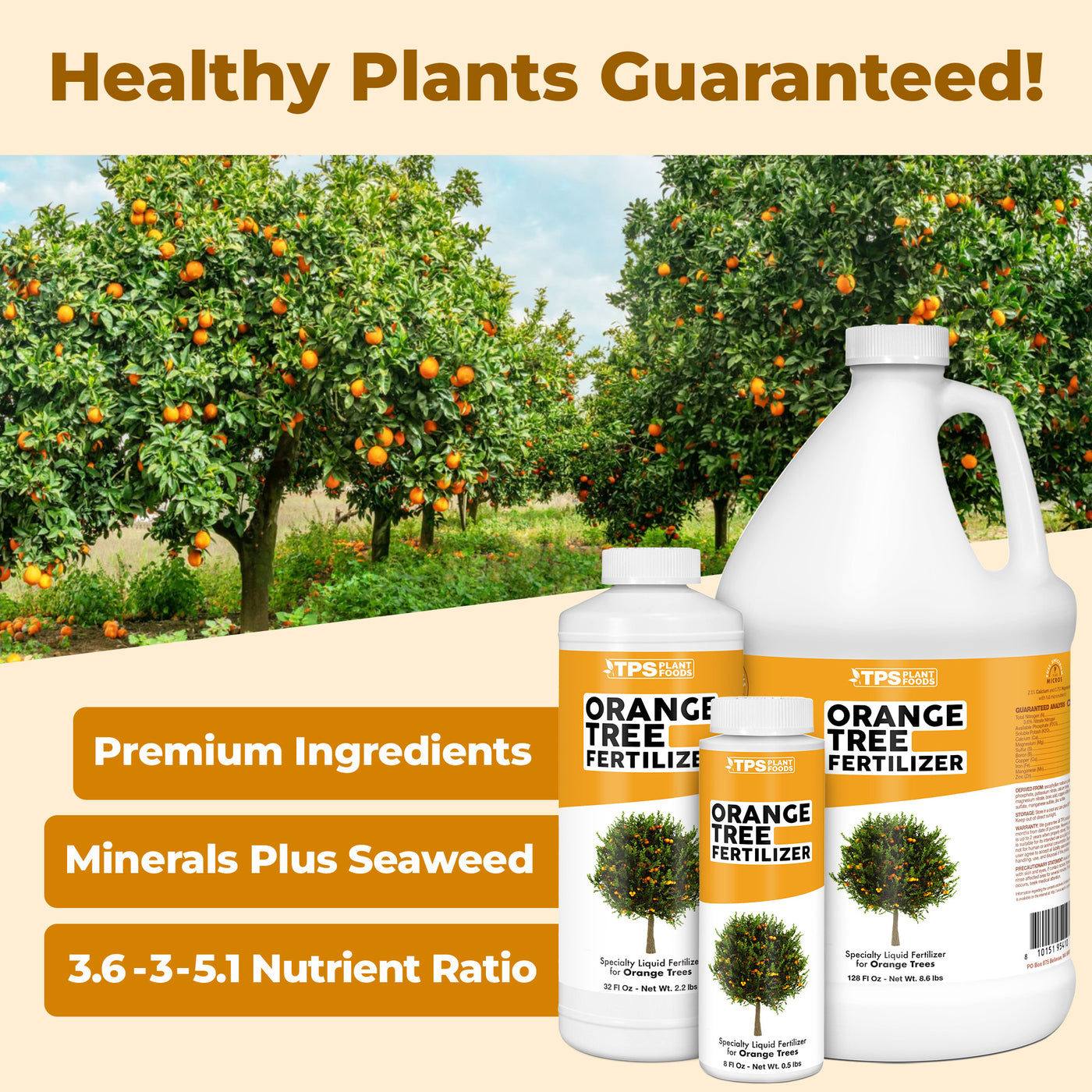 Orange Tree Fertilizer