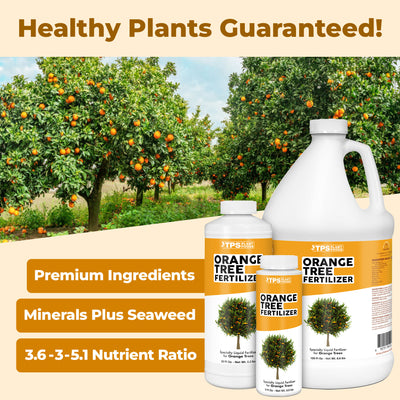 Orange Tree Fertilizer