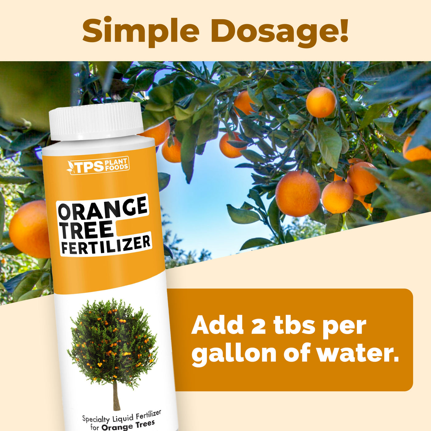 Orange Tree Fertilizer