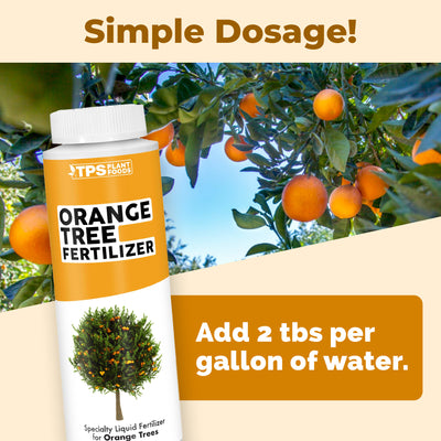 Orange Tree Fertilizer