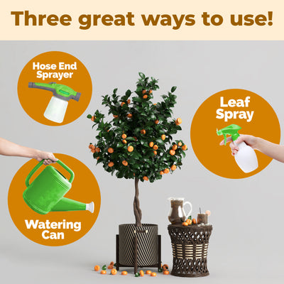 Orange Tree Fertilizer