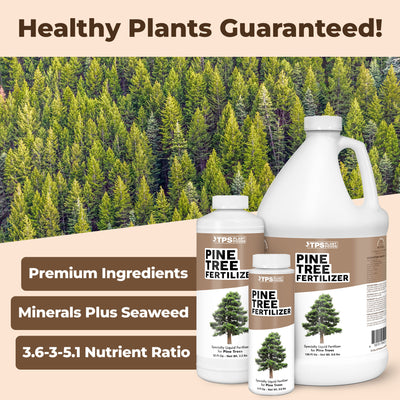 Pine Tree Fertilizer