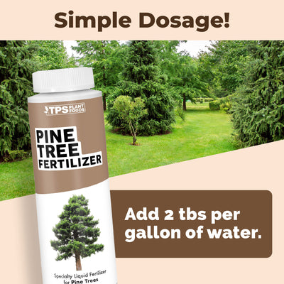 Pine Tree Fertilizer