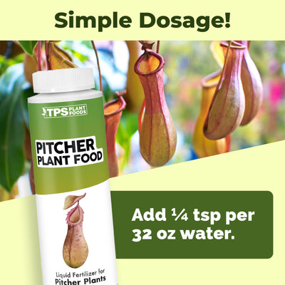 Pitcher Plant Food