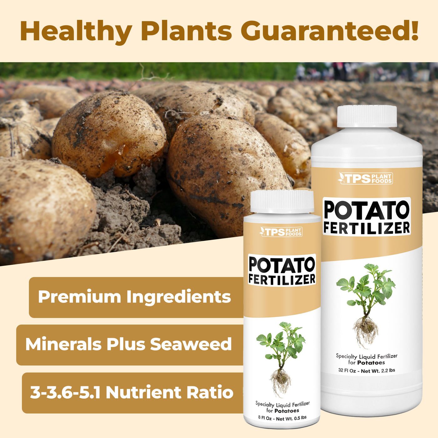 Potato Fertilizer