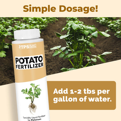 Potato Fertilizer