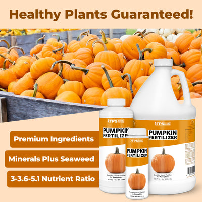 Pumpkin Fertilizer