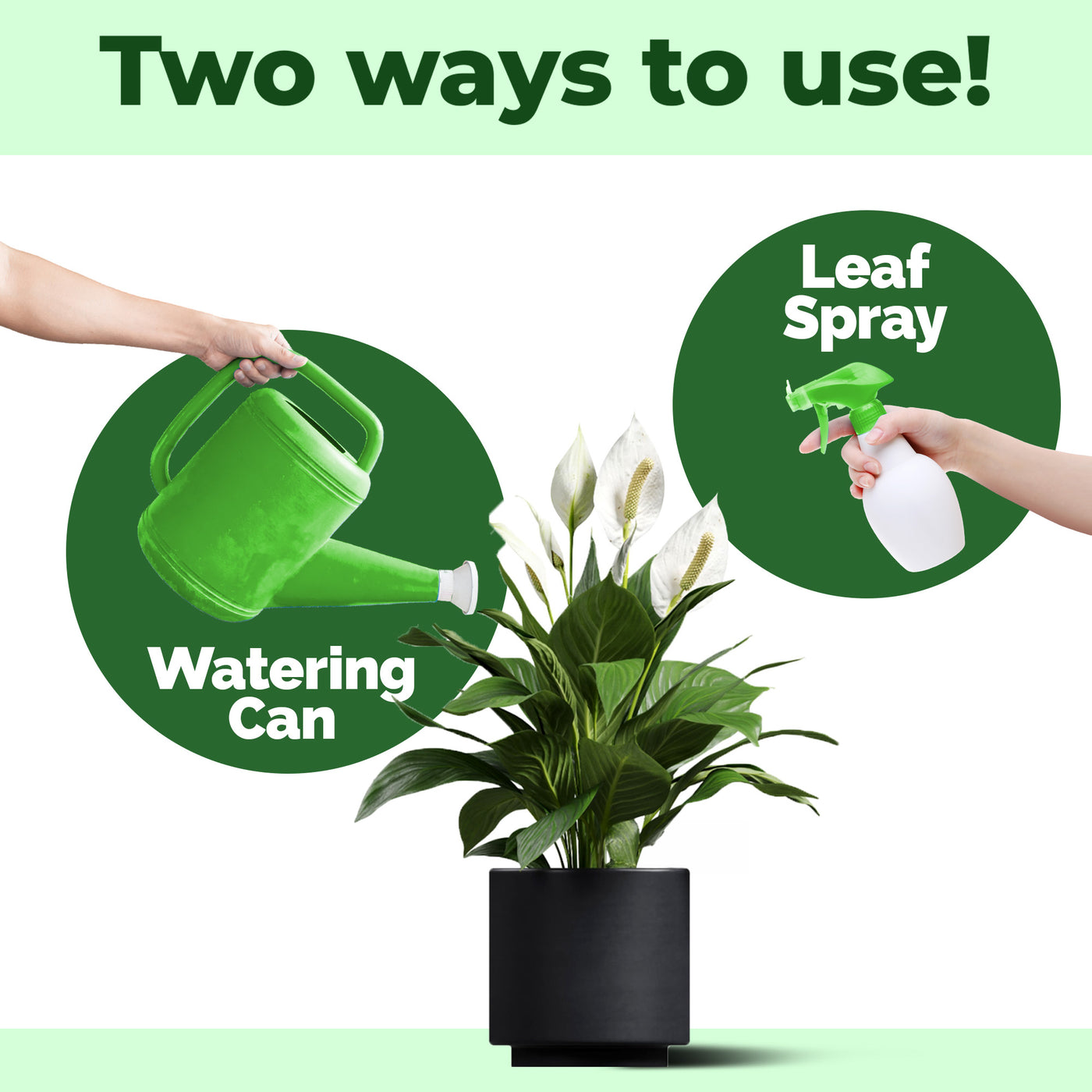 Peace Lily Fertilizer