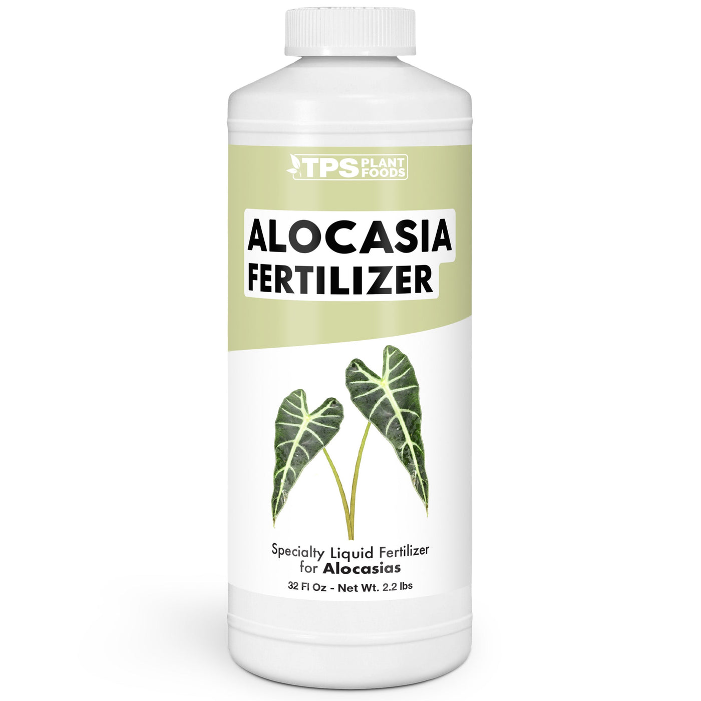 Alocasia Fertilizer