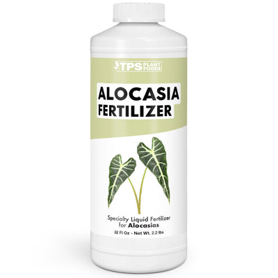 Alocasia Fertilizer