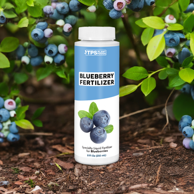 Blueberry Fertilizer