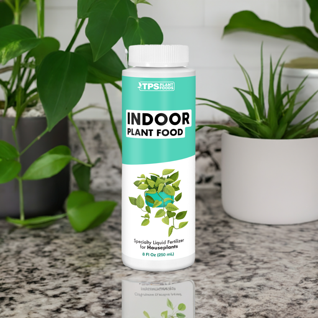 Indoor Plant Food