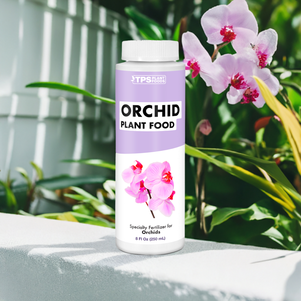 Orchid Plant Food