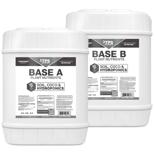 Base A+B