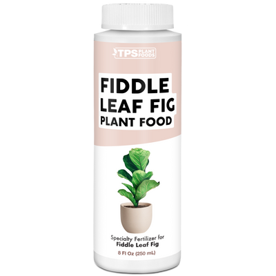 Fiddle Leaf Fig Plant Food