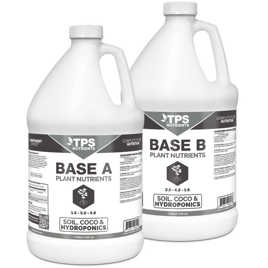 Base A+B