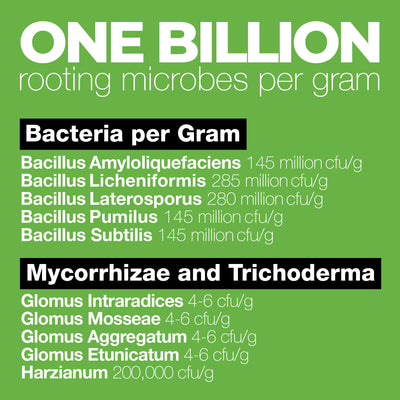Billions | Microbes for Stronger Plants